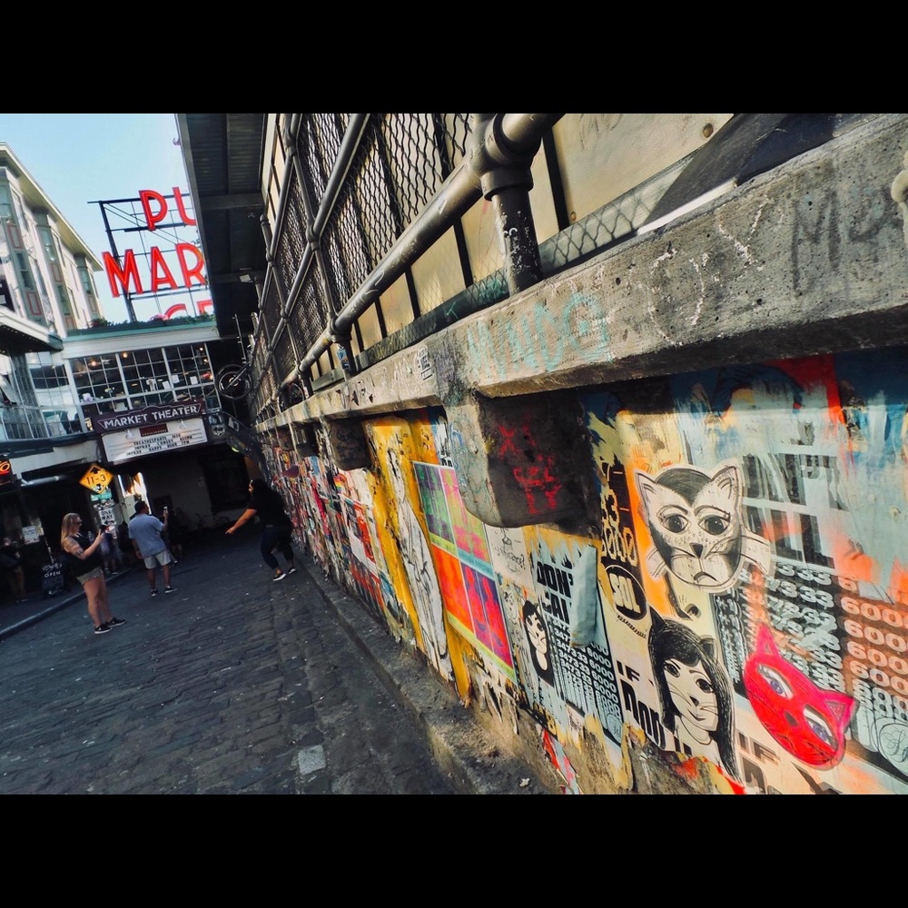 Meet your Posher, Enelra